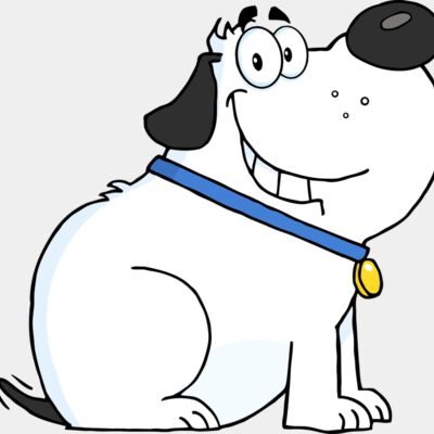 Happy chubby white dog Thumbnail