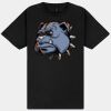 Gildan Unisex Softstyle Tee  Thumbnail