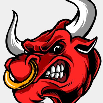 Bulls Thumbnail