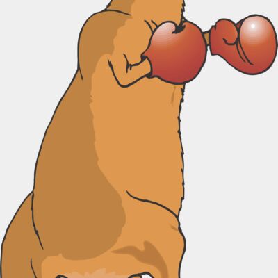 Boxing Kangaroo Thumbnail