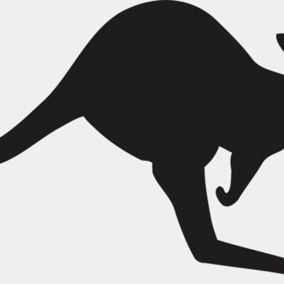 Kangaroo Thumbnail